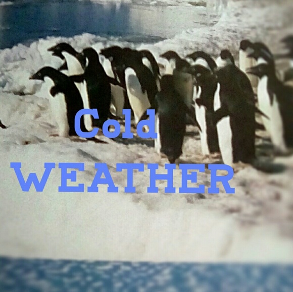 ❄️Cold Weather Fashion - Picture 1 of 1